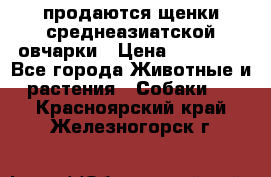 продаются щенки среднеазиатской овчарки › Цена ­ 30 000 - Все города Животные и растения » Собаки   . Красноярский край,Железногорск г.